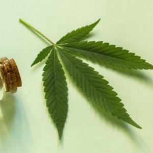 cannabis packaging